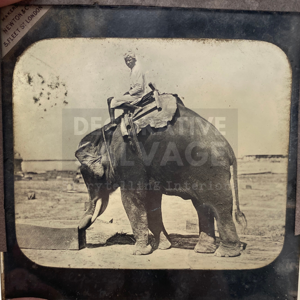 Lantern Slide | Elephant and Mahout, Burma (ca 1890S)