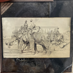 Lantern Slide | Elephants at Work, Burma (ca 1890s)