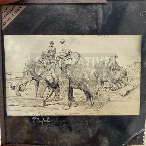 Lantern Slide | Elephants at Work, Burma (ca 1890s)