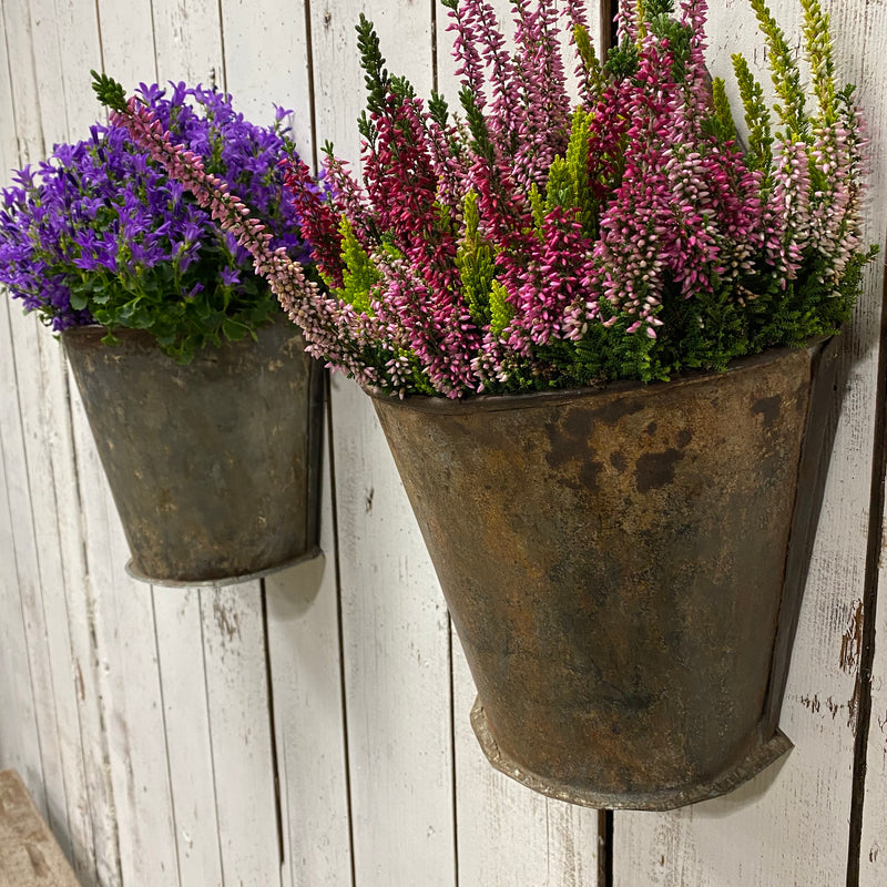 Upcycled Indian Well Bucket Wall Planter (H20CM)