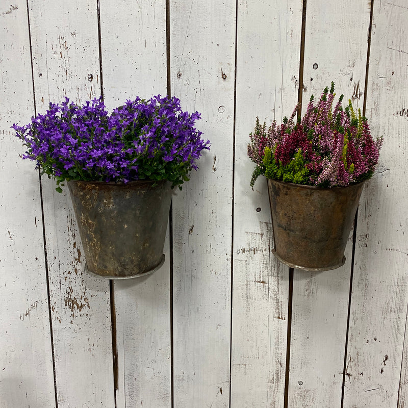 Upcycled Indian Well Bucket Wall Planter (H20CM)