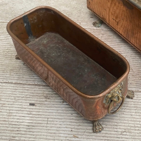 Antique Copper Herb Planter Brass Lion Head and Clawed Feet